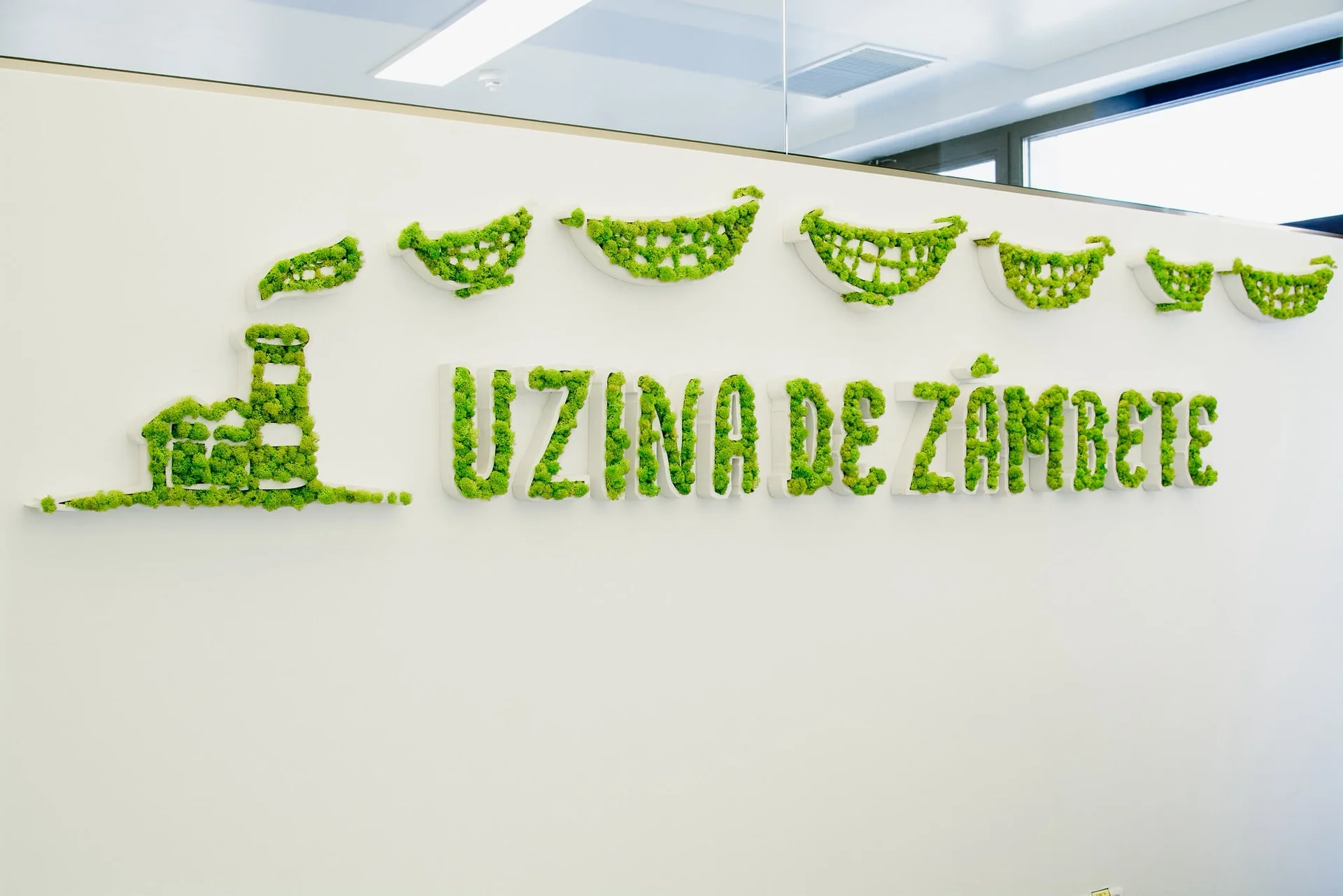 Sigla Uzina de Zâmbete realizată din licheni în clinica Tătărași
